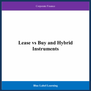 Lease vs Buy and Hybrid Instruments