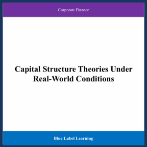 Capital Structure Theories Under Real-World Conditions
