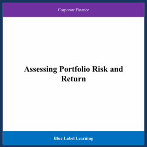 Assessing Portfolio Risk and Return
