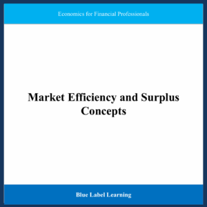 Market Efficiency and Surplus Concepts
