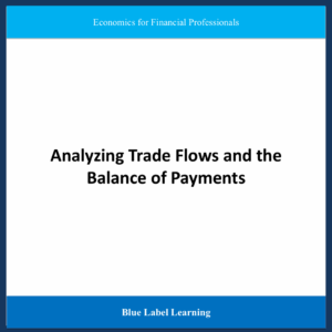 Analyzing Trade Flows and the Balance of Payments