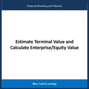 Estimate Terminal Value and Calculate Enterprise/Equity Value