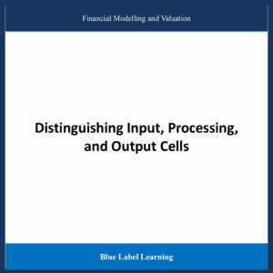 Distinguish Input, Processing, and Output Cells