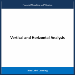 Vertical and Horizontal Analysis