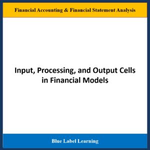 Input, Processing, and Output Cells in Financial Models