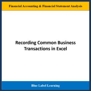 Recording Common Business Transactions in Excel